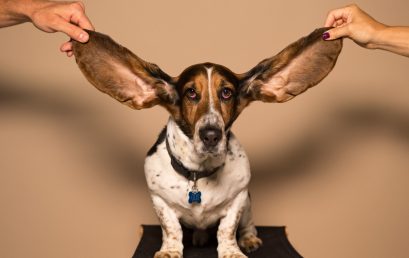 How to use active listening to improve your organizational culture